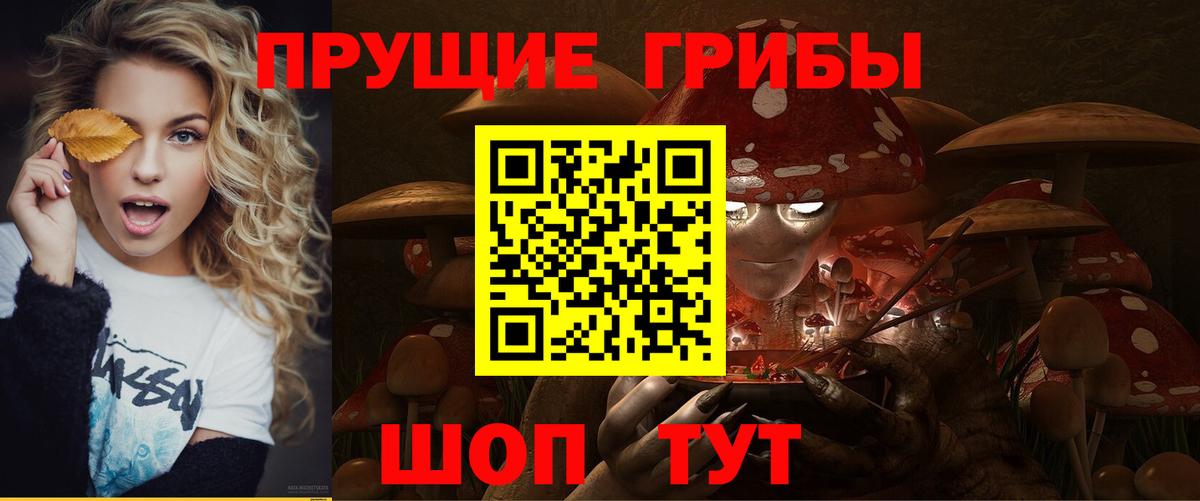 Псилоцибиновые грибы Psilocybe  Вход с VPN  Новый Уренгой 